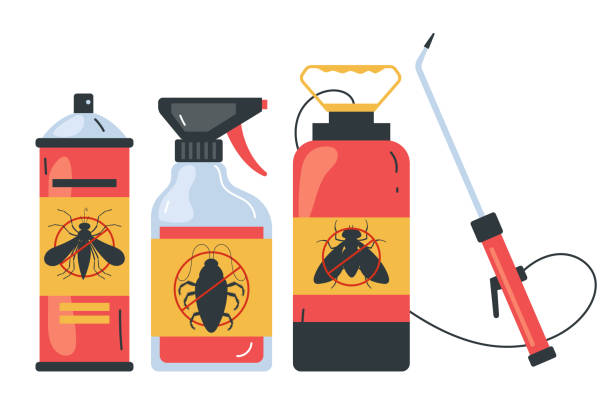 Best Termite Control Services  in The Meadows, FL