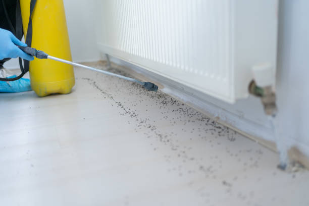 Best Pest Prevention Services  in The Meadows, FL